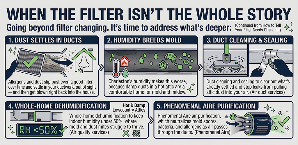 When the filter isn't the whole story infographic