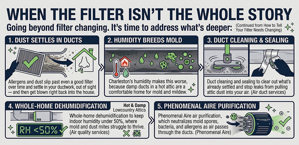 an infographic explains five ways indoor air quality issues go beyond filter changes, including duct cleaning, dehumidification, and air purification