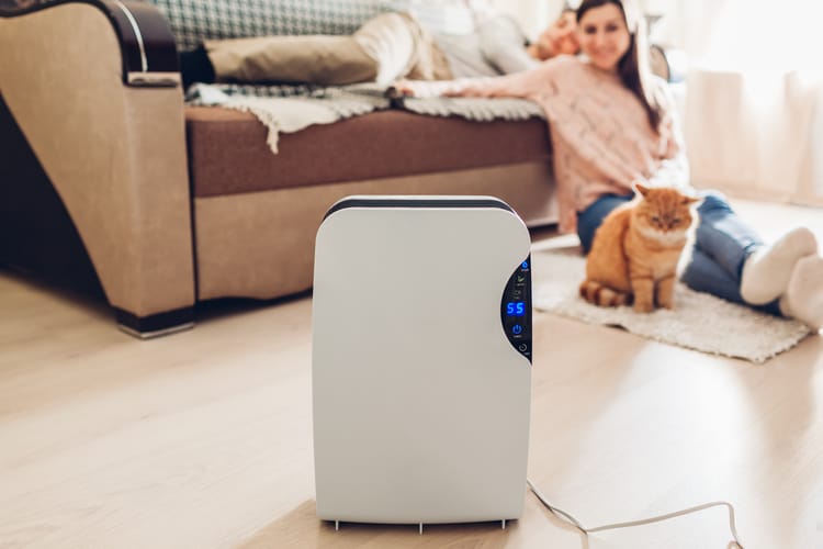 Guide to Air Purification